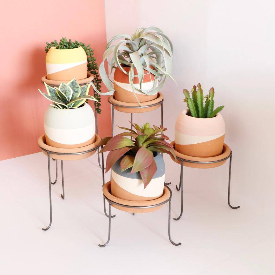 Set of 5 Terracotta Colorblock Pots on Metal Stands - Holistic Habitat 