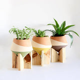 Double Dipped Colorblock Pots on Wooden Stands (Set of Three) - Holistic Habitat 