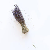 Dried Lavender - Holistic Habitat 