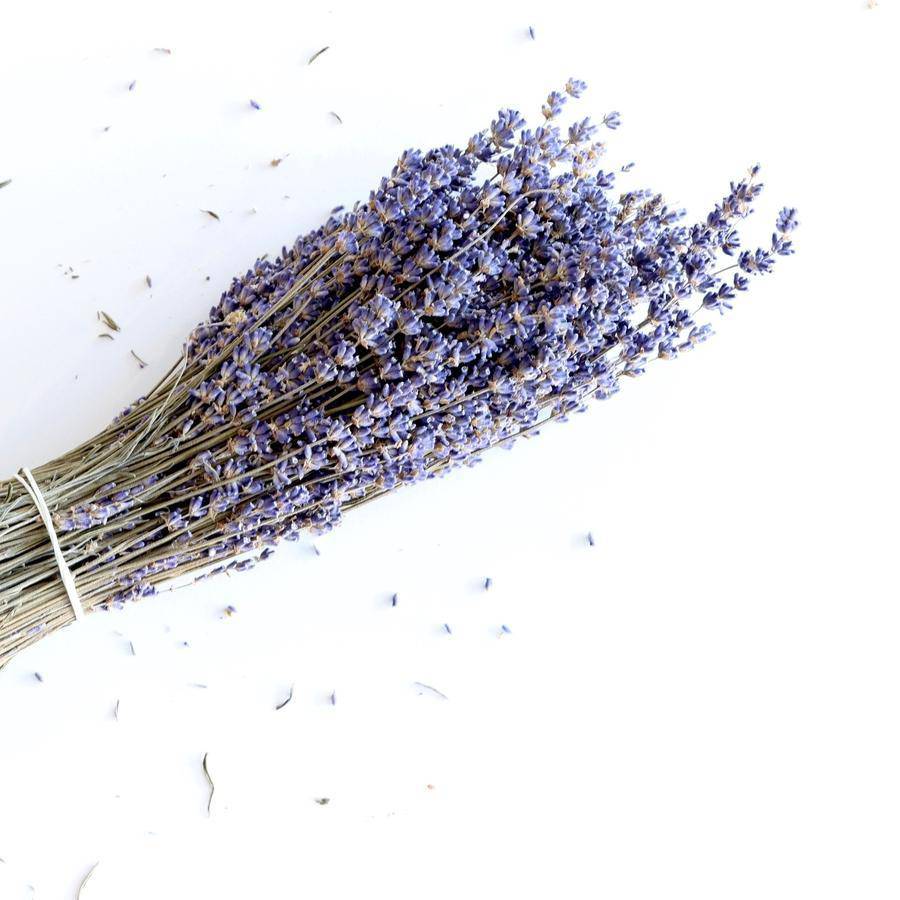 Dried Lavender - Holistic Habitat 