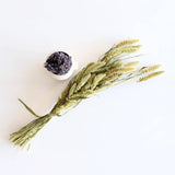 Dried Lavender - Holistic Habitat 