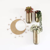 Brass Wall Vase Set - Holistic Habitat 