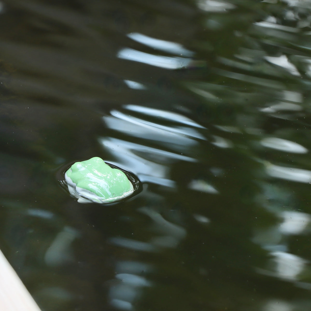 Frida Floating Ceramic Frog - Holistic Habitat 