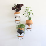 The Holistic Habitat Wall Mount Funnel Planter-Natural - Holistic Habitat 