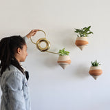 The Minimalist Holistic Habitat Double-Dipped Terracotta Wall Planter - Holistic Habitat 