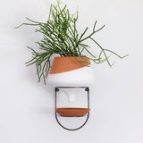 The Holistic Habitat Wall Mount Funnel Planter-White - Holistic Habitat 