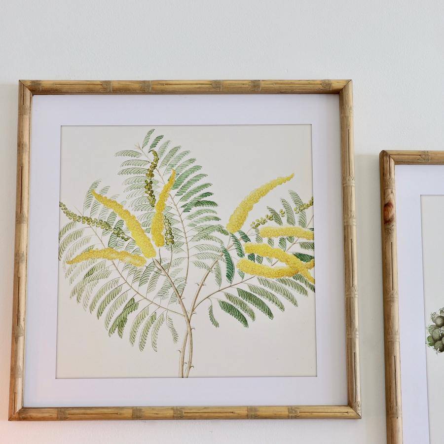 Bamboo Framed Flower Prints - Set of 4 - Holistic Habitat 