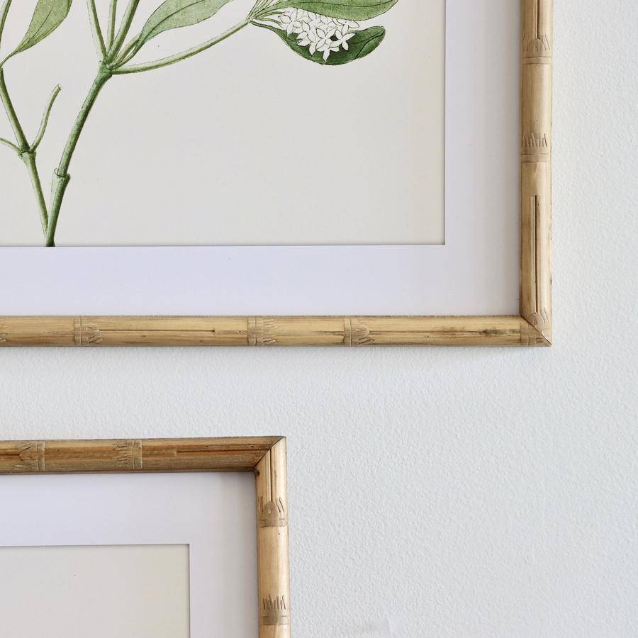 Bamboo Framed Flower Prints - Set of 4 - Holistic Habitat 