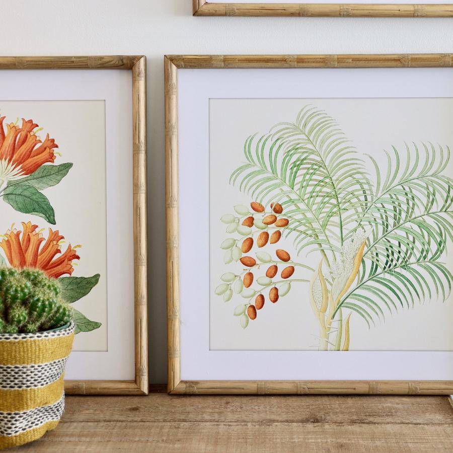 Bamboo Framed Flower Prints - Set of 4 - Holistic Habitat 