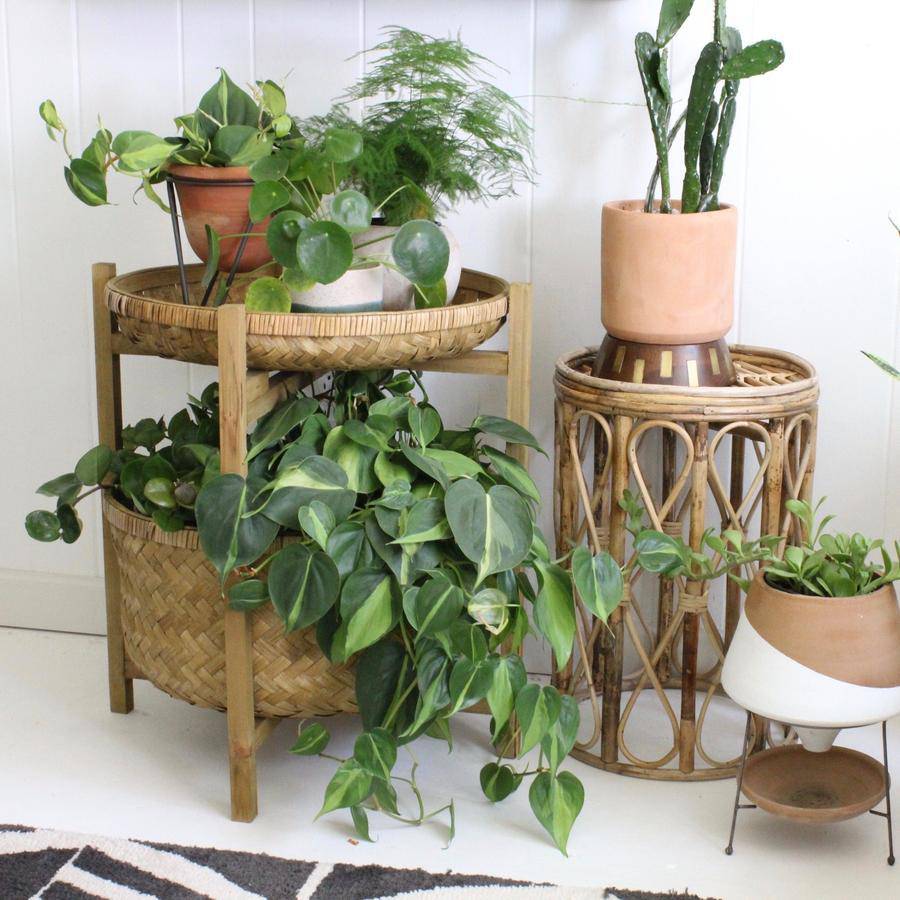 Cane Plant Stand Side Table - Holistic Habitat 