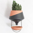 The Holistic Habitat Wall Mount Funnel Planter-Black - Holistic Habitat 