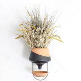 The Holistic Habitat Wall Mount Funnel Planter-Black - Holistic Habitat 