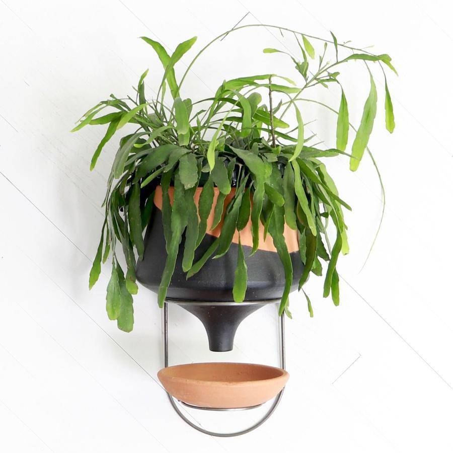 The Holistic Habitat Wall Mount Funnel Planter-Black - Holistic Habitat 