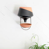 The Holistic Habitat Wall Mount Funnel Planter-Black - Holistic Habitat 