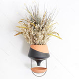 The Holistic Habitat Wall Mount Funnel Planter-Black - Holistic Habitat 