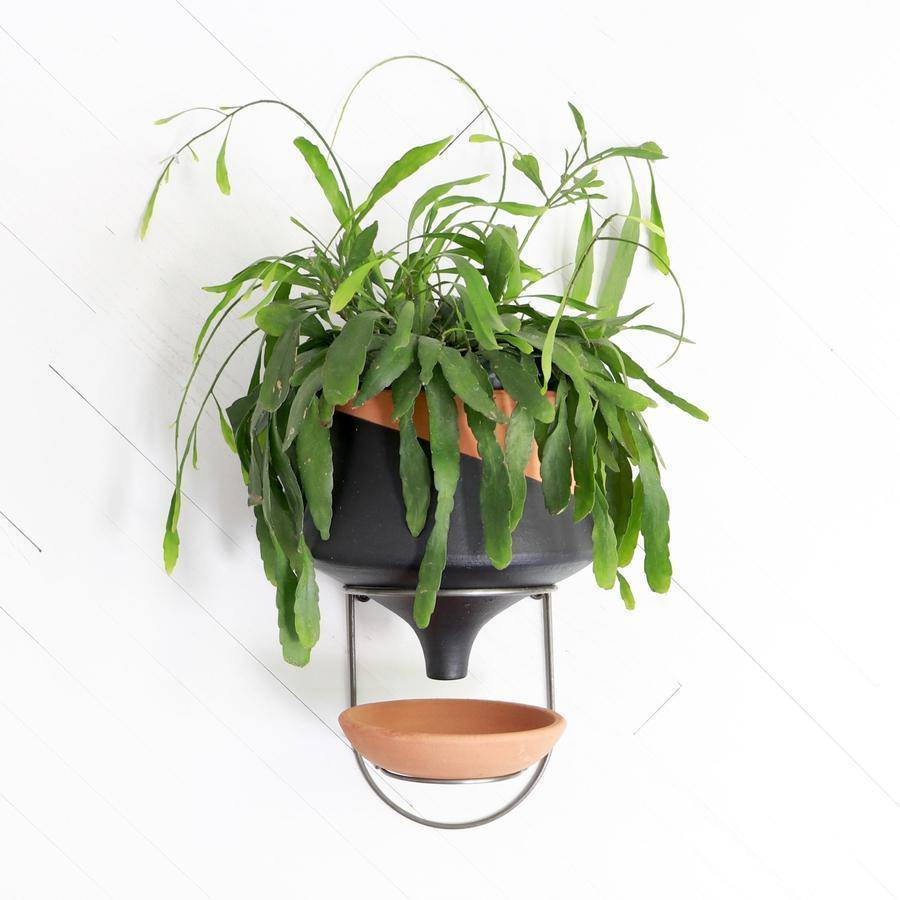 The Holistic Habitat Wall Mount Funnel Planter-Black - Holistic Habitat 