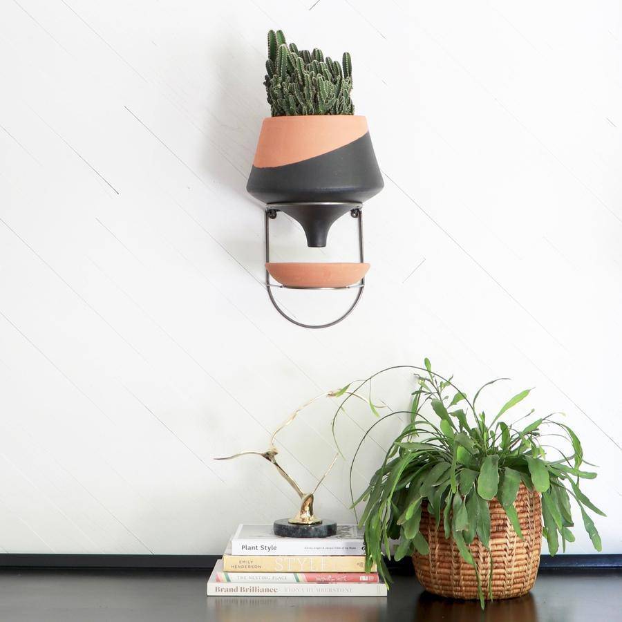 The Holistic Habitat Wall Mount Funnel Planter-Black - Holistic Habitat 