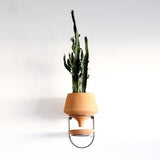 The Holistic Habitat Wall Mount Funnel Planter-Natural - Holistic Habitat 