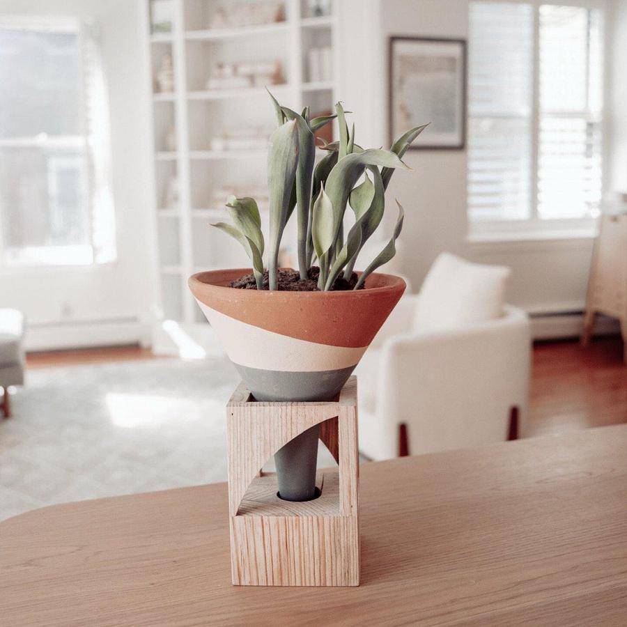 Terracotta Colorblock Cone Pot on Wooden Stand - Holistic Habitat 