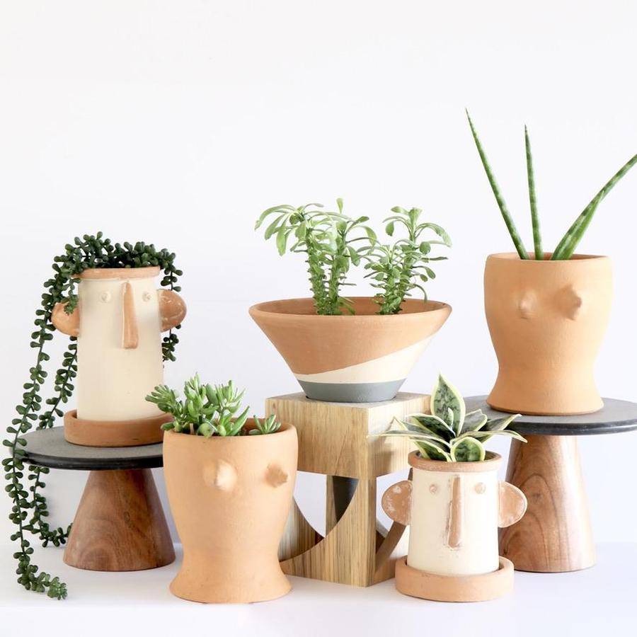 Terracotta Colorblock Cone Pot on Wooden Stand - Holistic Habitat 