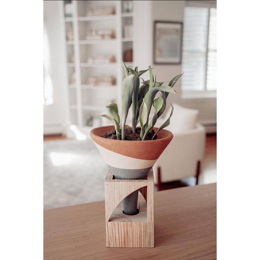 Terracotta Colorblock Cone Pot on Wooden Stand - Holistic Habitat 