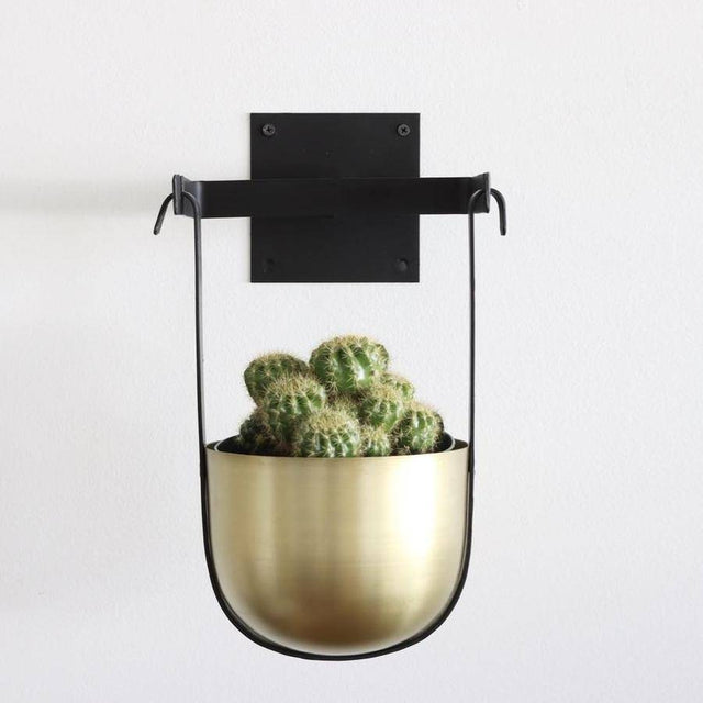 Pot of Gold Hanging Planter - Small - Holistic Habitat 