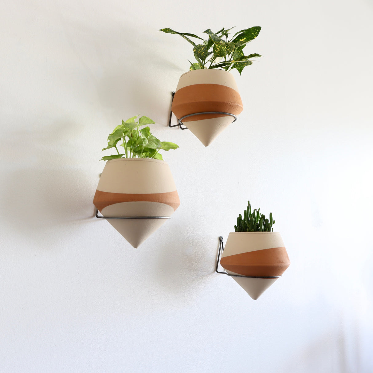 The Minimalist Holistic Habitat Double-Dipped Terracotta Wall Planter - Holistic Habitat 