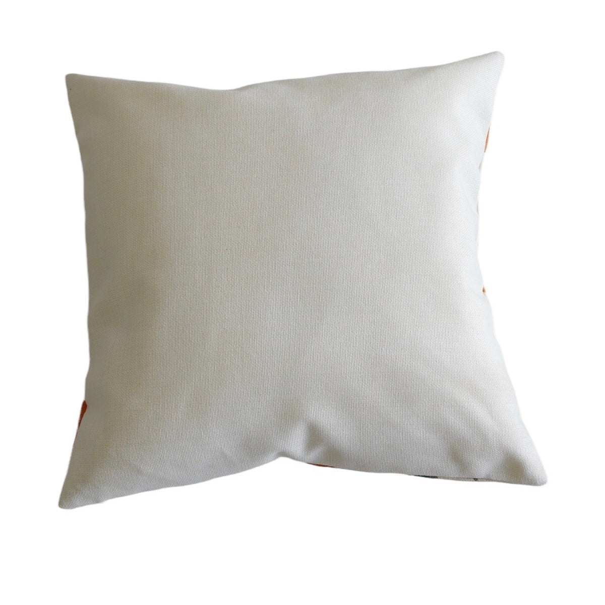 Show Me Your Spots Outdoor Throw Pillow Cover - Holistic Habitat 