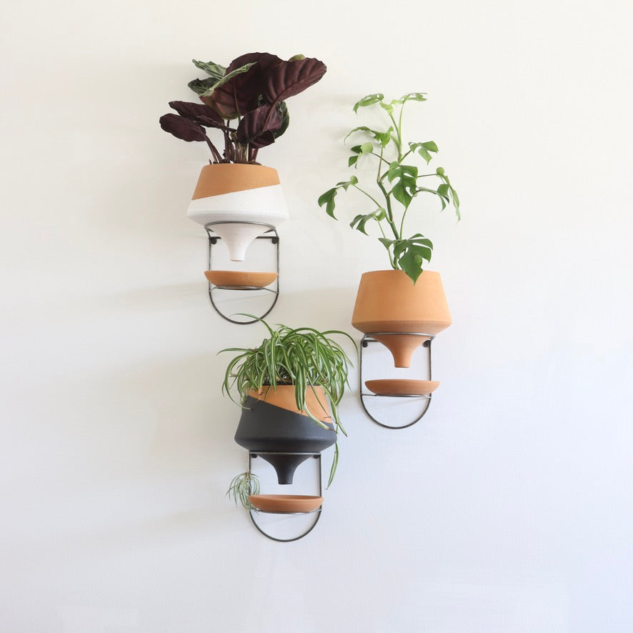 The Holistic Habitat Wall Mount Funnel Planter-White - Holistic Habitat 