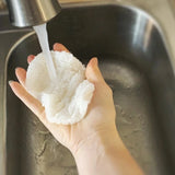 Loofah Dish Sponge: Single Layer 3-Pack - Holistic Habitat 