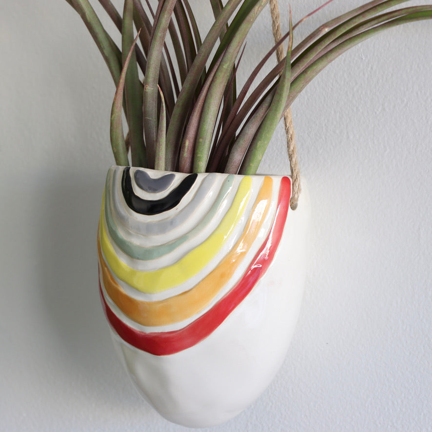 Bright Rainbow Hanging Planter - Holistic Habitat 