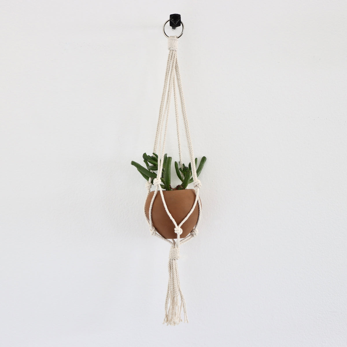Orbit Mini Terracotta Planter with Macrame Hanger - Holistic Habitat 