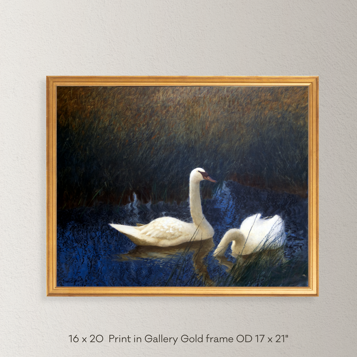 Camelot Lake Swans Framed Print - Holistic Habitat 