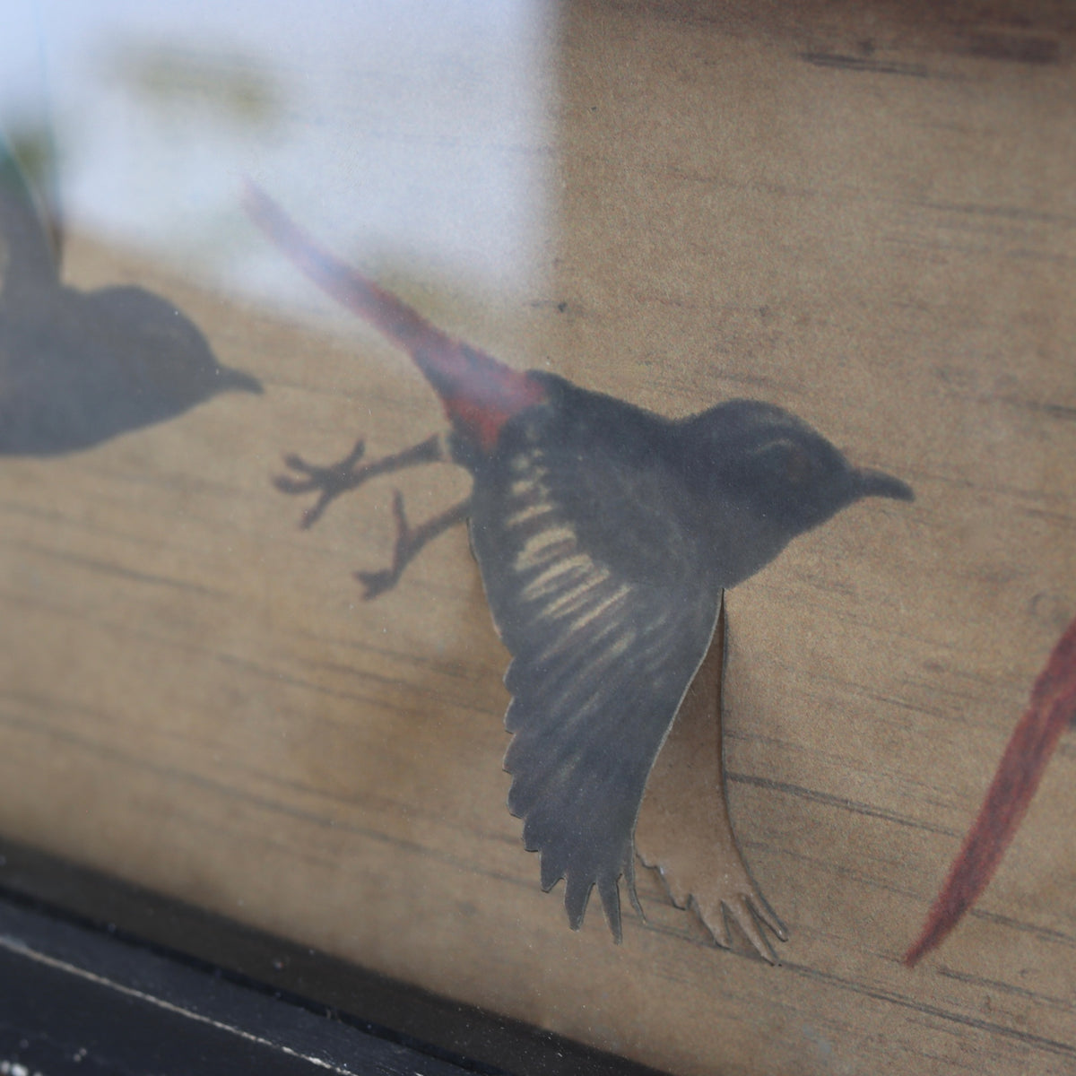 Fly Away Framed Paper Birds Under Glass - Holistic Habitat 