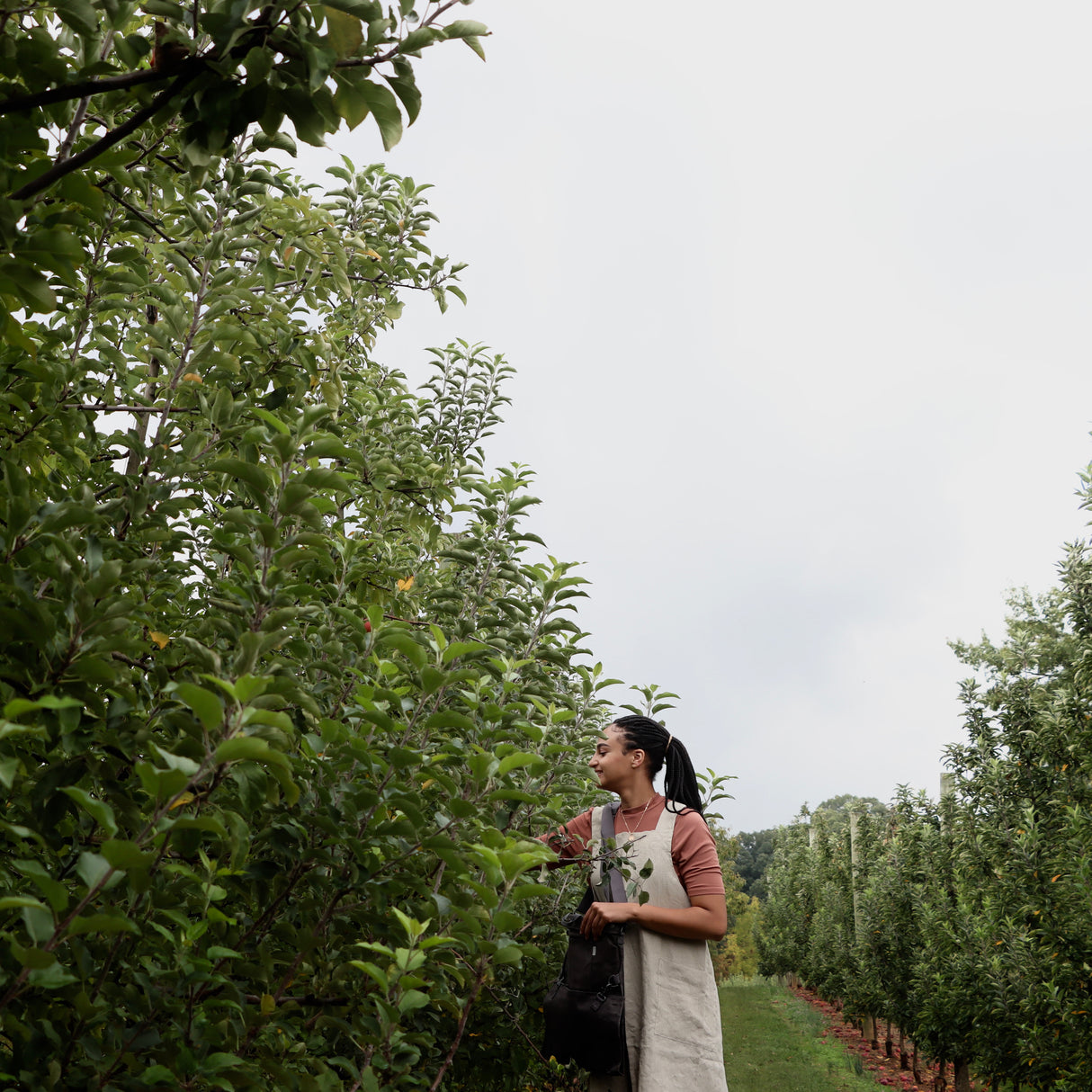 Linen Pinafore Natural Small-Medium - Holistic Habitat 