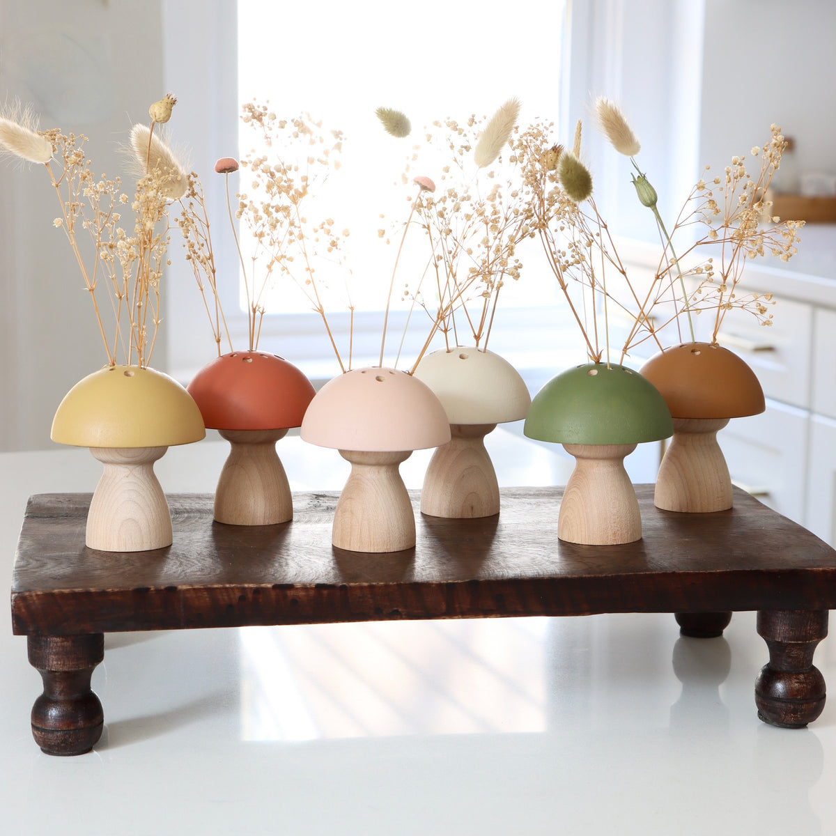Hand-Painted Wooden Mushroom Vase - Blush - Holistic Habitat 
