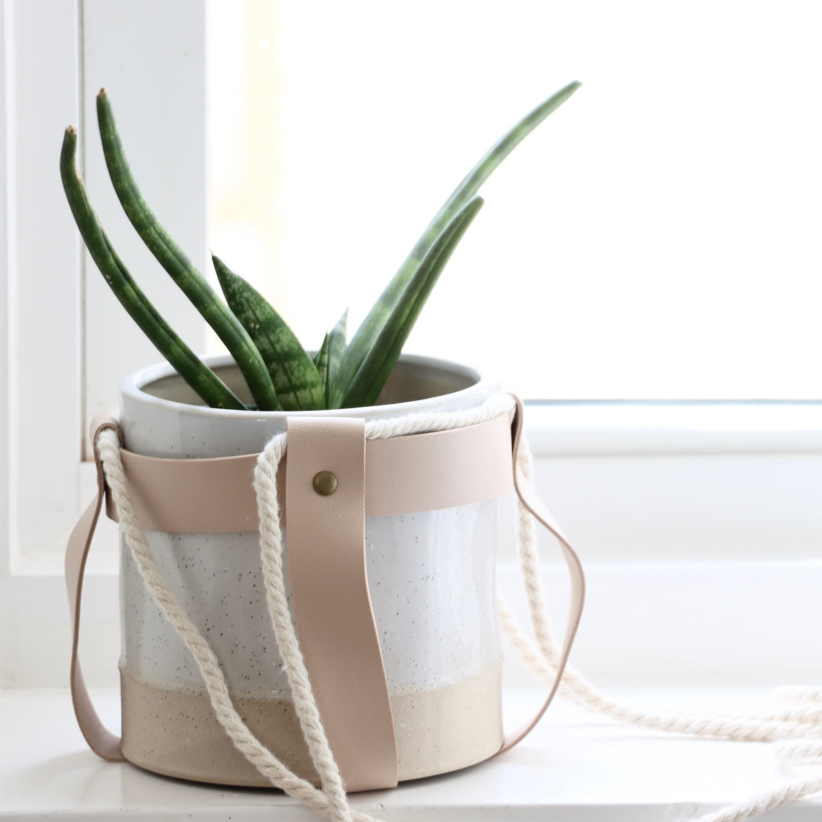 Hang in There Stoneware Hanging Planter With Faux Leather Straps - Holistic Habitat 