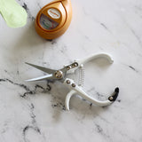 Pruning Shears - White - Holistic Habitat 