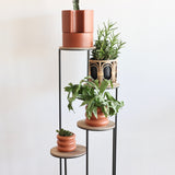 Yana Four-Tier Plant/Display Stand - Holistic Habitat 