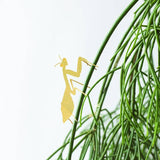 Praying Mantis Etched Brass Houseplant Decoration - Holistic Habitat 