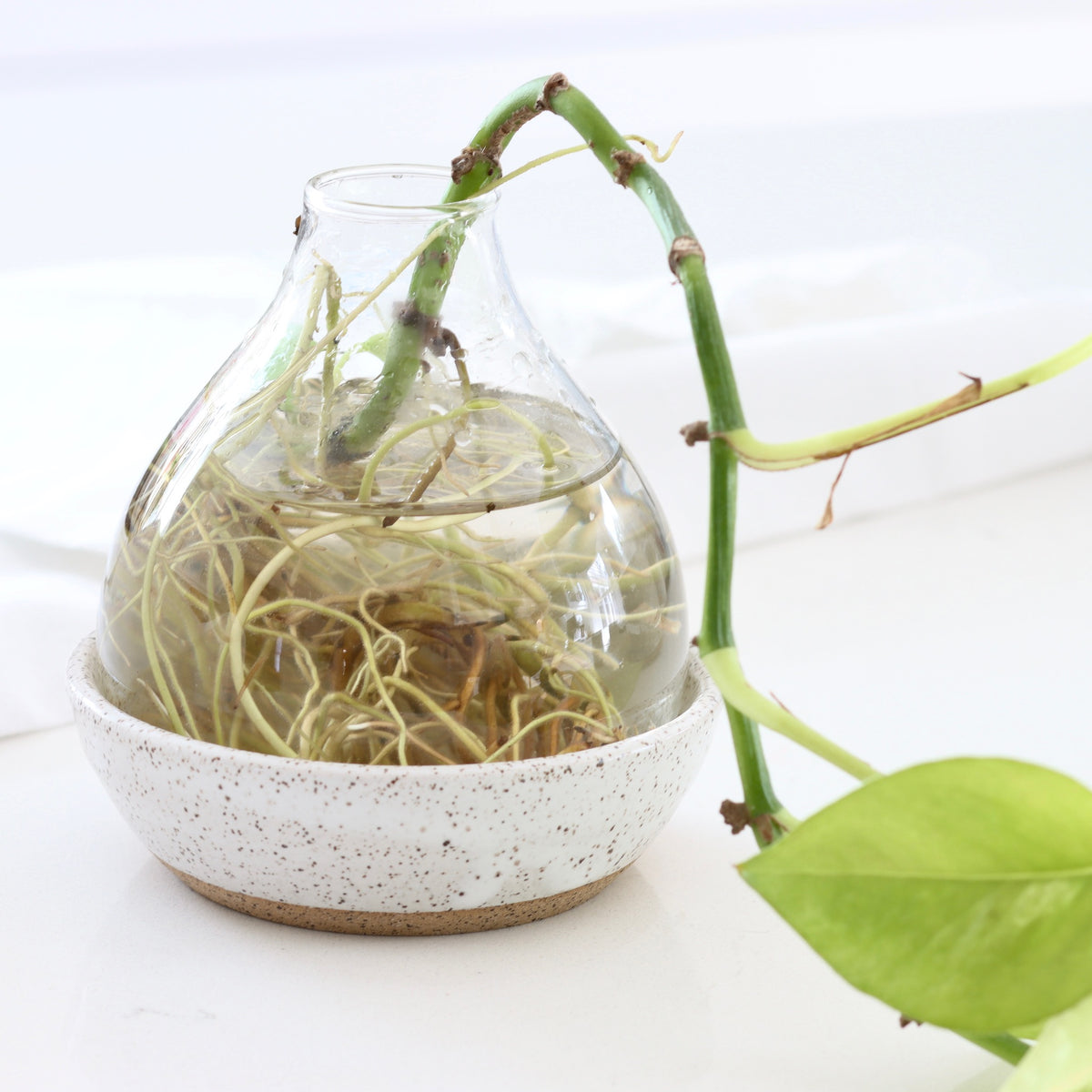 Handmade Ceramic Propagation Bulb Shaped Vase - Holistic Habitat 