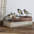 Songbirds Resin Birds With Metal Feet - Set of 4 - Holistic Habitat 