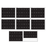 Black Minimalist Spice - 162 Labels - Holistic Habitat 