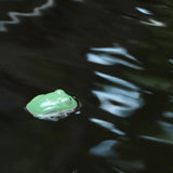 Frida Floating Ceramic Frog - Holistic Habitat 