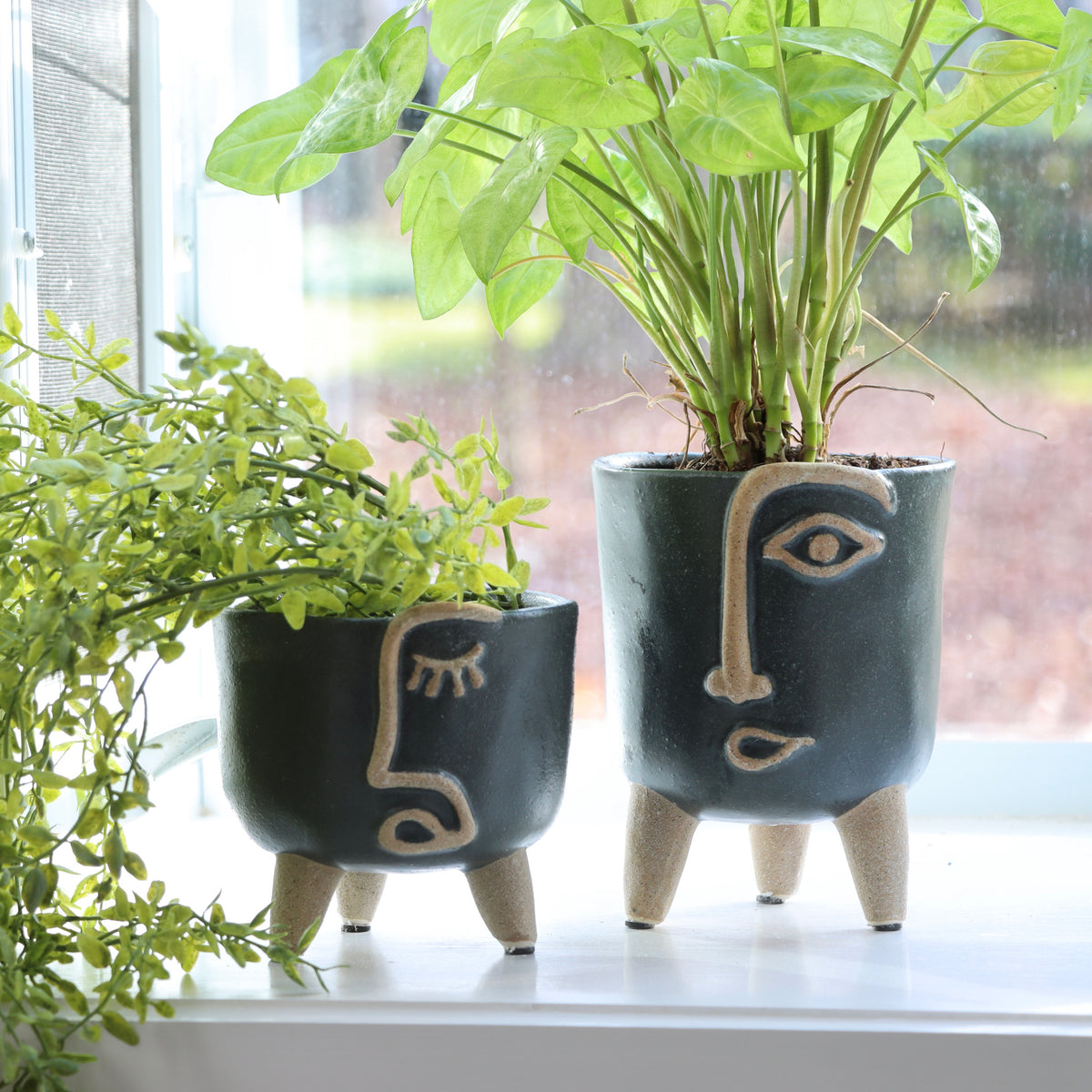 Abstract Face Planters Set of 2 - Holistic Habitat 