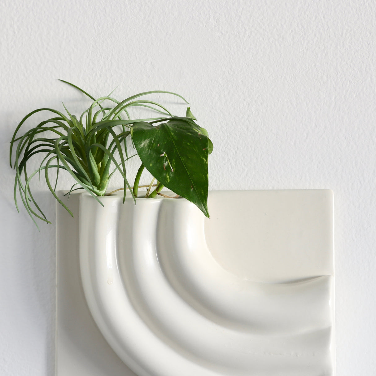 Romy Ceramic Wall Planter - Sun - Holistic Habitat 