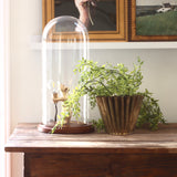 Cleo Fluted Brass Finish Metal Planter - Holistic Habitat 