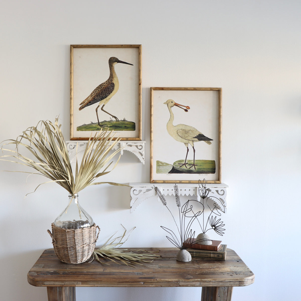 Marco Shorebird Framed Prints - Holistic Habitat 