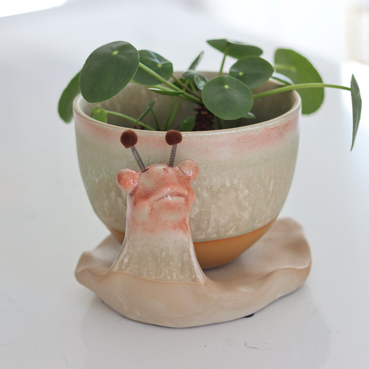 Stoneware Snail Planter - Holistic Habitat 