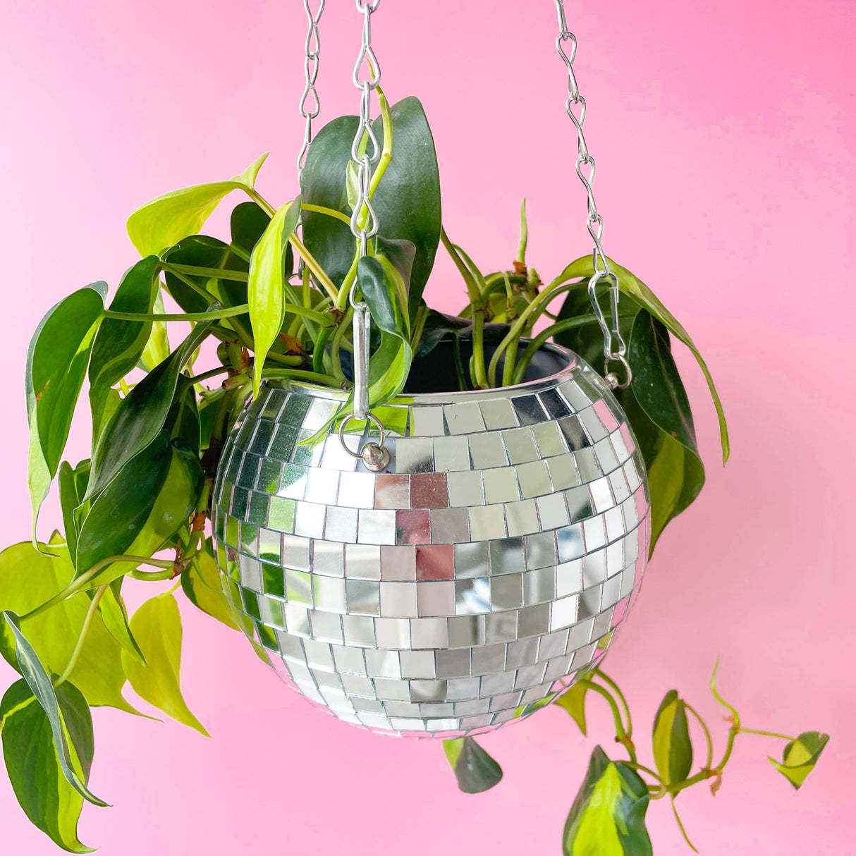 Disco Ball 6" Hanging Planter - Holistic Habitat 